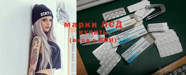 гидра Горнозаводск