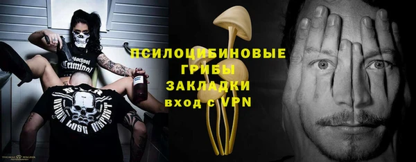 ГАЛЛЮЦИНОГЕННЫЕ ГРИБЫ Горно-Алтайск