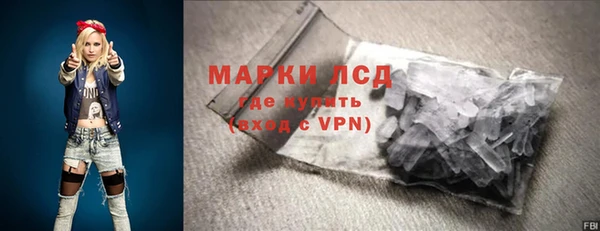 гидра Горнозаводск
