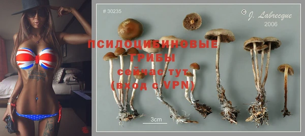 ГАЛЛЮЦИНОГЕННЫЕ ГРИБЫ Горно-Алтайск