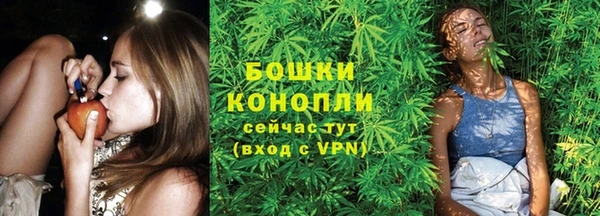 ГАЛЛЮЦИНОГЕННЫЕ ГРИБЫ Горно-Алтайск