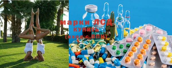ГАЛЛЮЦИНОГЕННЫЕ ГРИБЫ Горно-Алтайск