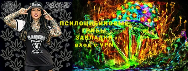 ГАЛЛЮЦИНОГЕННЫЕ ГРИБЫ Горно-Алтайск