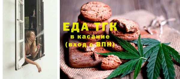 гидра Горнозаводск