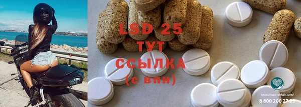 гидра Горнозаводск
